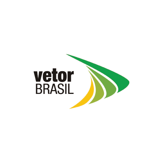 Vetor Brasil